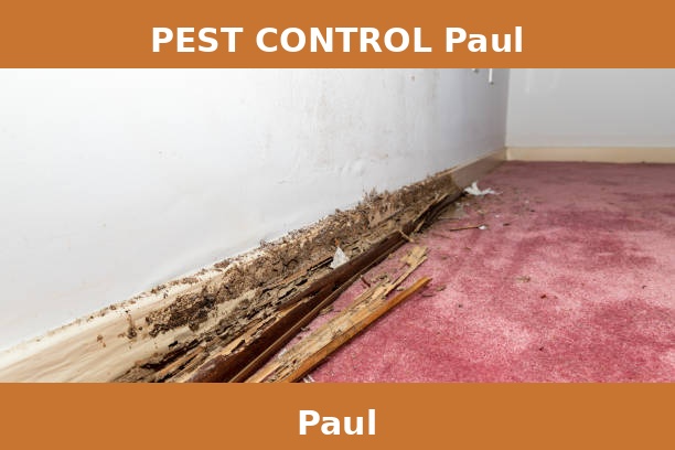 PEST CONTROL Paul